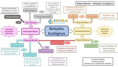 Lista de exercícios sobre relações ecológicas - Questões ...