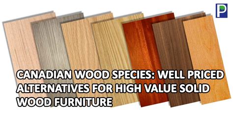 Canadian Wood Species Well Priced Alternatives For High Value Solid