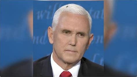 Pence Fly Won The First Vice Presidential Debate On Twitter India Today