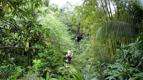 Antigua Rainforest Zipline Adventure