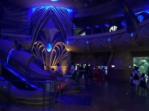 The Lost Chambers Aquarium Sanya 2021 All You Need To Know Before