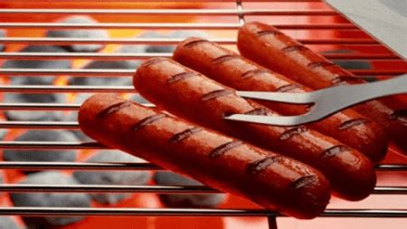 Hot dog ang mga salitang hot dog at sausage ay kadalasang ginagamit nang magkakasama. Hot Dog vs Sausage - Difference