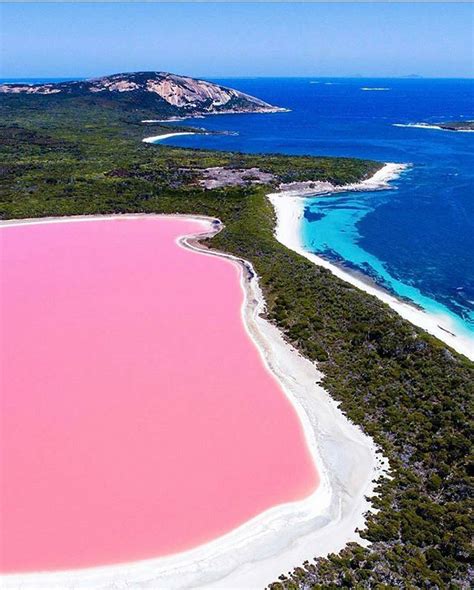 Lake Hillier West Australlia Você Sabia Que Existe Um Lago De águas