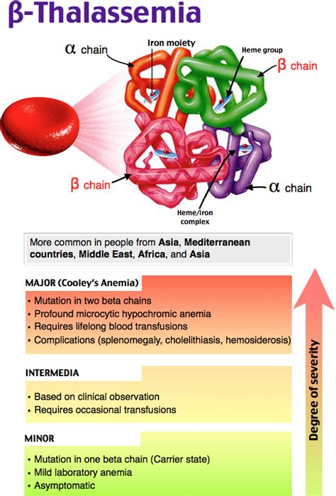 Alpha thalassemia intermedia, or hemoglobin h disease, causes hemolytic anemia. Beta Thalassemia | Hematology, Medical laboratory science ...