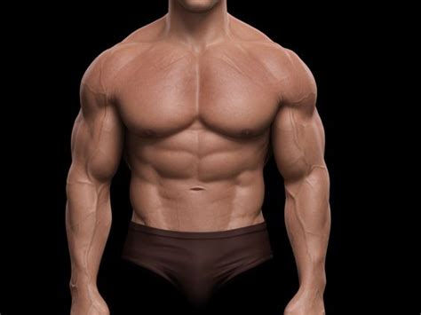 The muscle consists of three parts which fan out during. arnold_skin shader front.jpg | Anatomy - Torso and Back ...