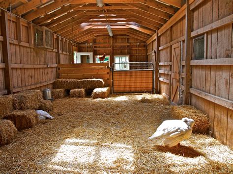 Barn Farm Sanctuary House Styles