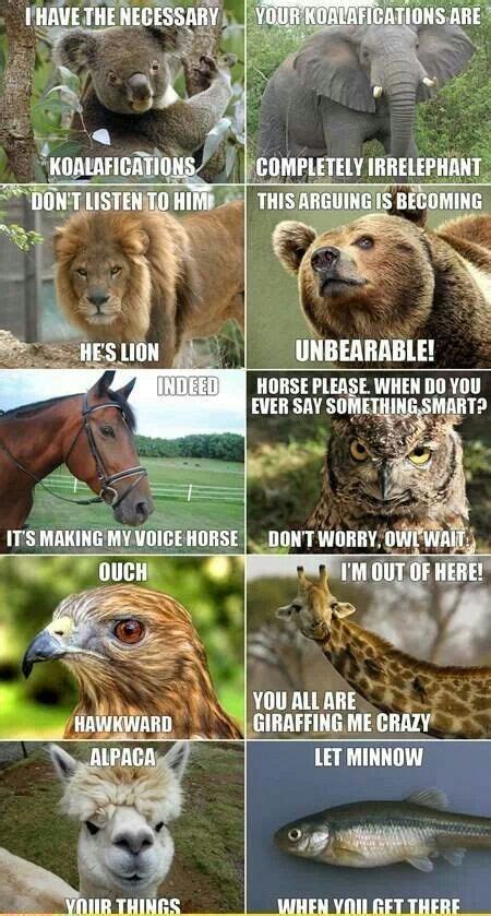 Funny Zoo Memes Funny Memes