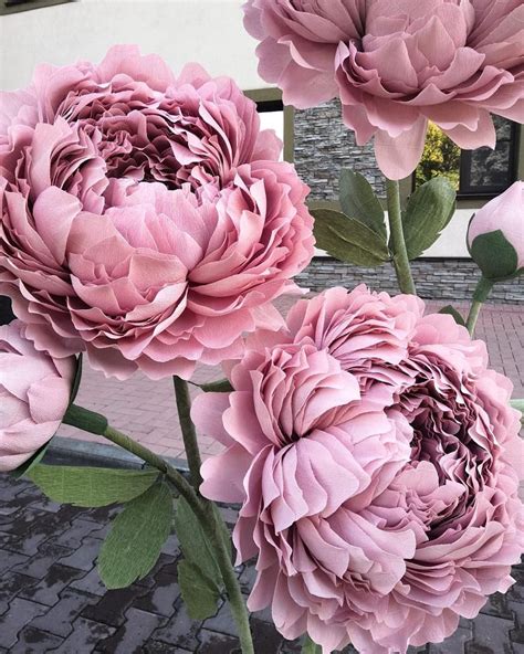 large-paper-flowers-giant-paper-flowers-paper-flowers-on-the-stem-paper-peony-large-paper