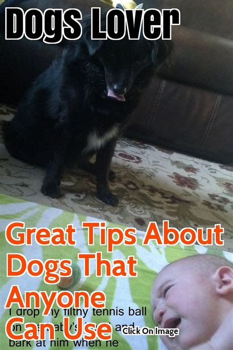 Be A Better Human For Your Dog With These Tips And Tricks Your Dog