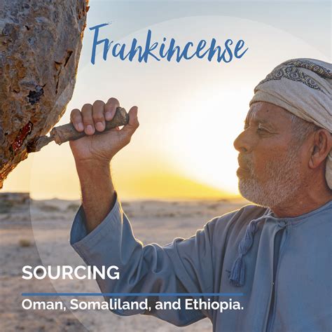 Did You Know That The DoTERRA Frankincense Is A Blend Of Four Different