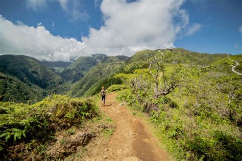 Waihee ridge trail (waihee, hi). Hiking the Waihee Ridge Trail on Maui, HI - I'm Jess Traveling