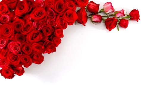 Red Roses Wedding Bouquet Hd Desktop Wallpaper High High Resolution