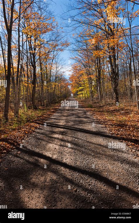 Fall Colours Road Hi Res Stock Photography And Images Alamy