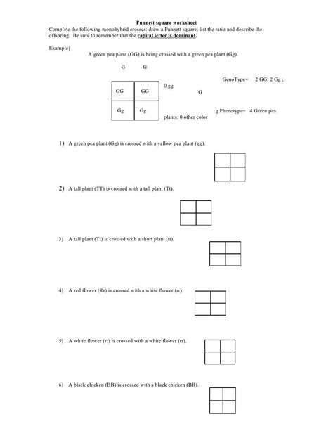 Shading in each punnett square represents matching phenotypes, assuming complete dominance and independant assortment of genes, phenotypic ratios are also presented. Punnett Square Practice Problems Worksheet Punnett Square ...