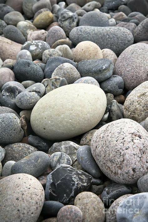 Pebbles Pebbles Rock And Pebbles Beach Stones