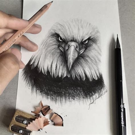 Discover hundreds of ways to save on your favorite products. Design Stack: A Blog about Art, Design and Architecture: Realistic Pencil Animal Drawings