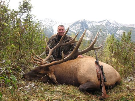 Wilderness Elk Hunt In British Columbia Worldwide Trophy Adventures