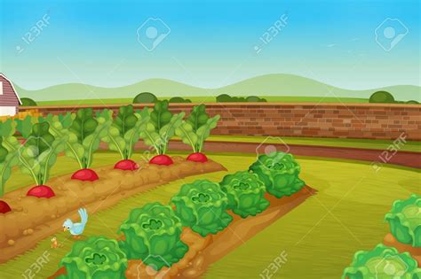 Vegetable Garden Background Free Clipart 10 Free Cliparts Download