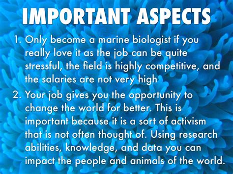 Marine Biologist By Amanda Glegg
