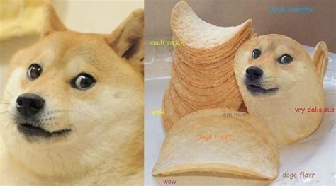 How Much Are Shiba Inus In Japan