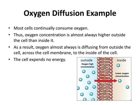 Ppt Passive Transport Diffusion And Osmosis Powerpoint Presentation