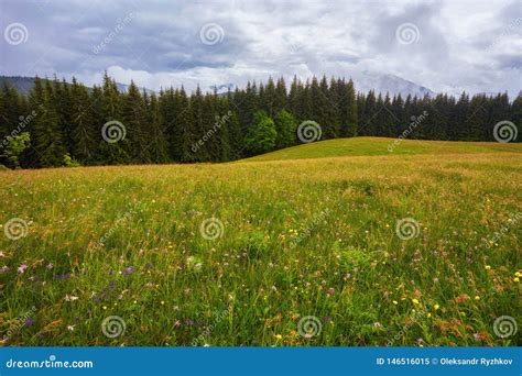 Panoramic View Of Beautiful Landscape In The Alps With Fresh Green