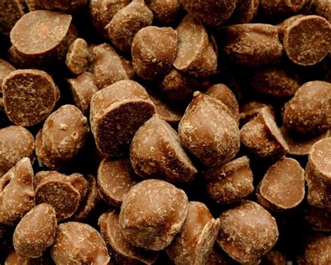 Brachs Double Dippers Chocolate Peanuts 5 Lb Candy Favorites