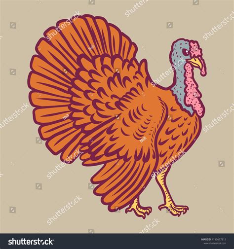 drawing realistic turkey icon hand drawn เวกเตอร์สต็อก ปลอดค่าลิขสิทธิ์ 1193617315 shutterstock
