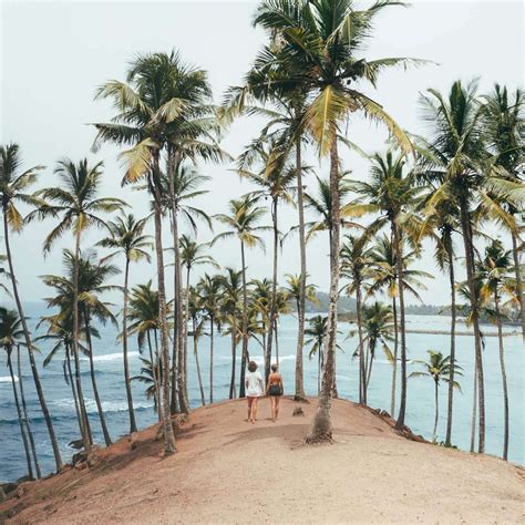 Mirissa Sri Lanka 9 Best Things To Do 2024 Travel Guide