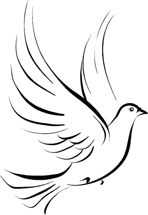 Download Columbidae Funeral Symbols As Drawing Doves Clipart Png Free