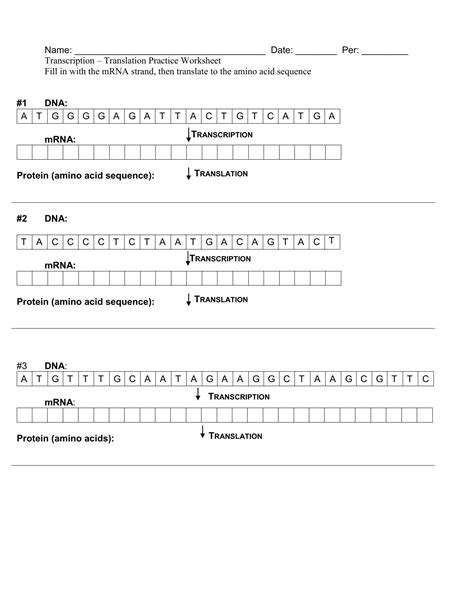 The first step of transcription to form mrna involves rna polymerase ii binding to a promoter region just upstream of the gene that is to be transcribed. Transcription And Translation Practice Worksheet Answer Key — db-excel.com