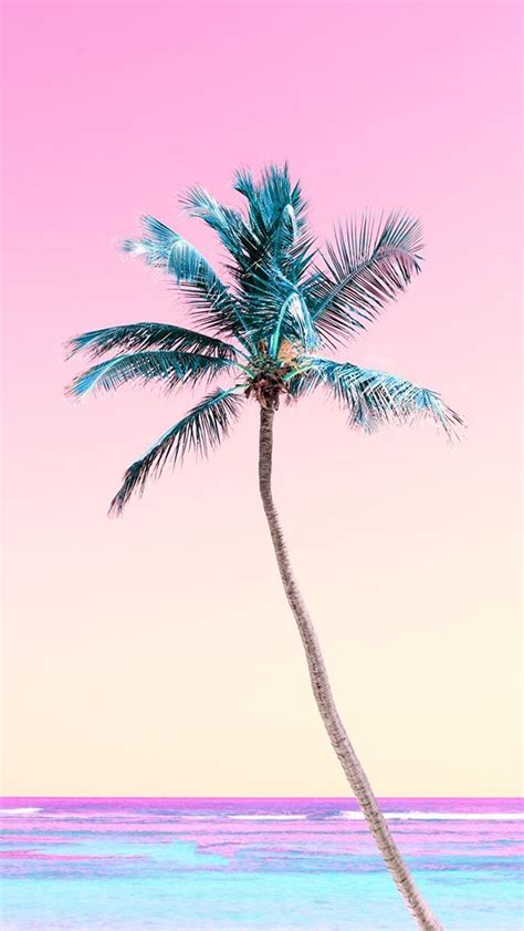 Matt Crump Photography Iphone Wallpaper Pastel Palm Tree Sunset Tropical Beach Palm Tree Iphone