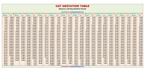 Cat Gestation Calculator And Chart Printable Gestation Periods