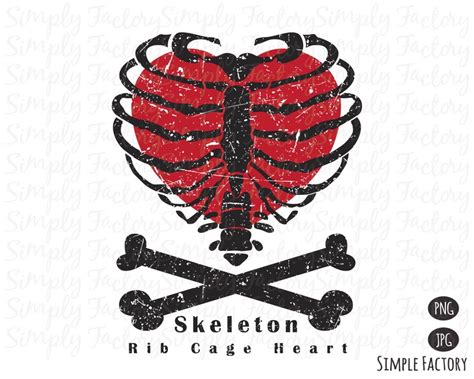 Vintage Skeleton Rib Cage Heart Png Skeleton Bones Png Etsy Canada