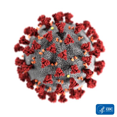 The virus is very serious, please follow the. Coronavirus (COVID-19) - Samaritan Health