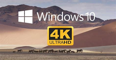 17 Fondos De Pantalla 4k Para Windows 10 Pictures Aholle Images