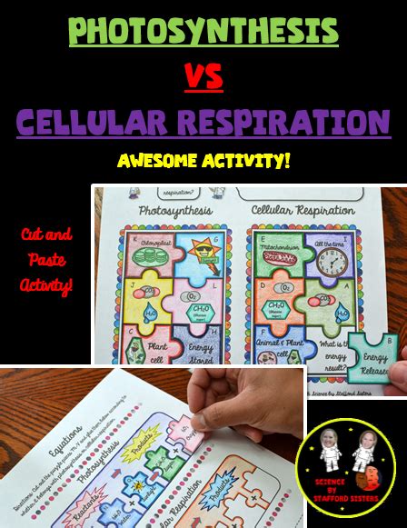 Check spelling or type a new query. Photosynthesis vs Cellular Respiration