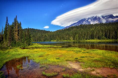 usa, Parks, Scenery, Forests, Lake, Grass, Mount, Rainier, National ...