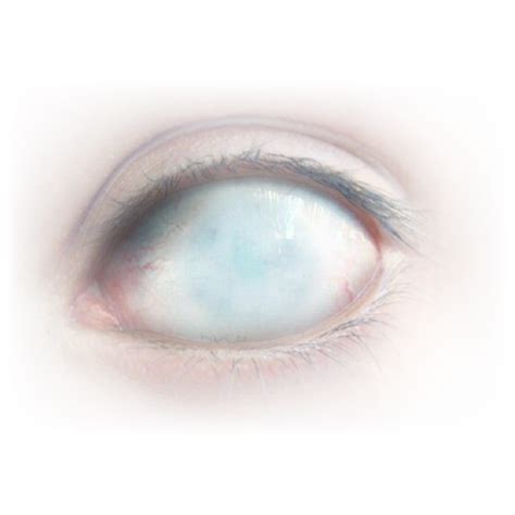 creepy eye png 20 free Cliparts | Download images on Clipground 2022 png image