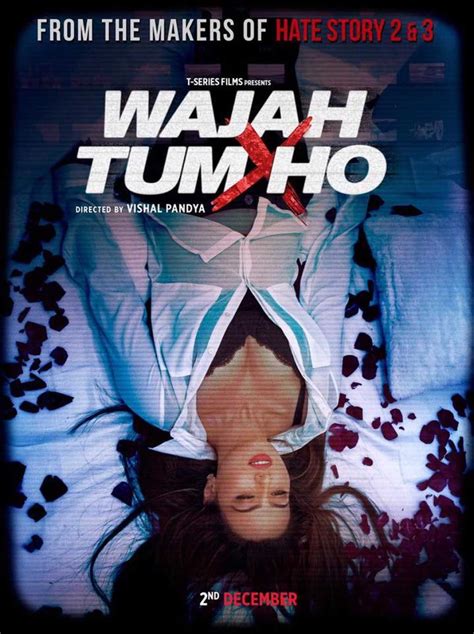 Wajah Tum Ho (2016) - Review, Star Cast, News, Photos | Cinestaan