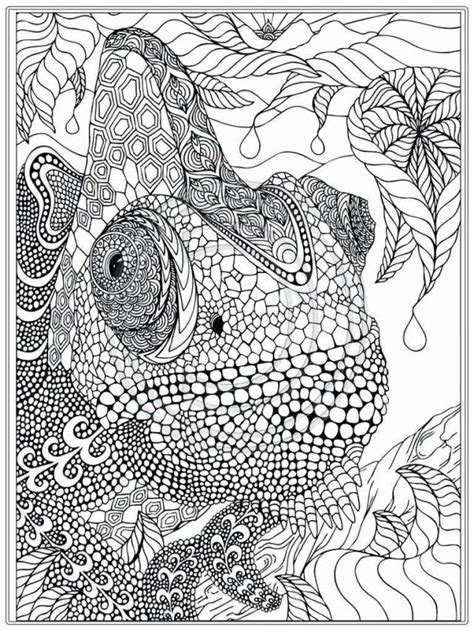 Jungle Coloring Pages For Adults Coloroing Pages Online