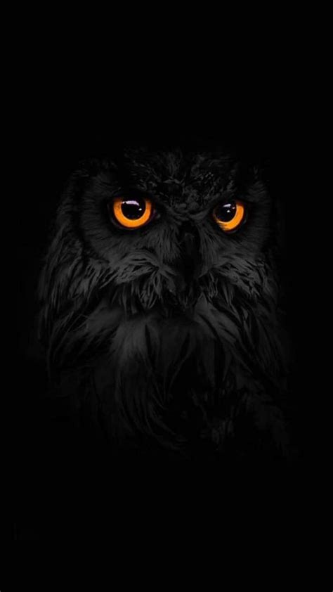 30 Trends Ideas Wallpaper Owl Black Background Awakening Stars