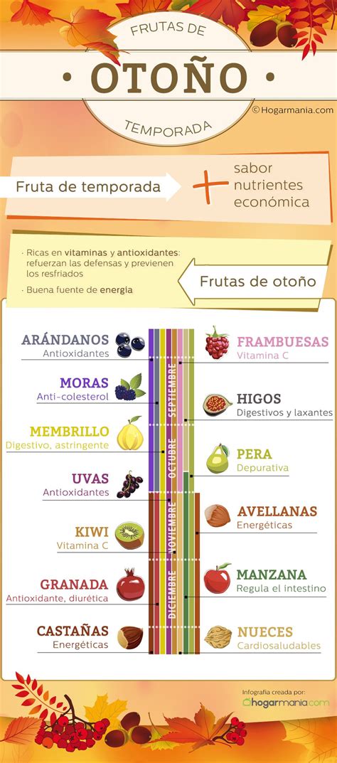 Cuáles Son Las Frutas De Otoño Infografía Hogarmania