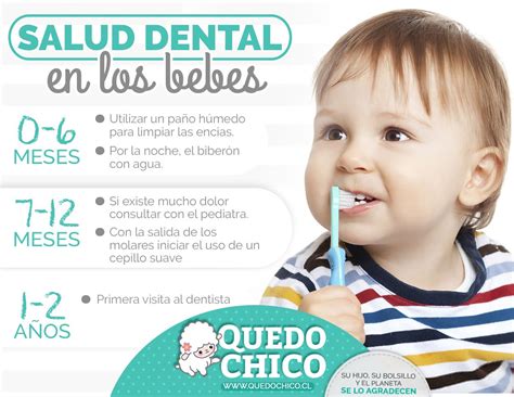 Pin De Mily Núñez En Amamá Escuela De Higiene Dental Odontologia