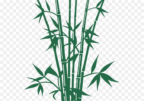 Cara Menggambar Pohon Bambu 48 Koleksi Gambar