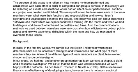 Example Of Reflection Essay Two Reflective Teachers Social Issues
