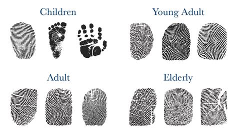 Fingerprint Characteristics What Makes Them Unique Legacytouch