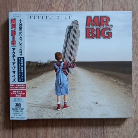 Mr Big Actual Size Cd Photo Metal Kingdom