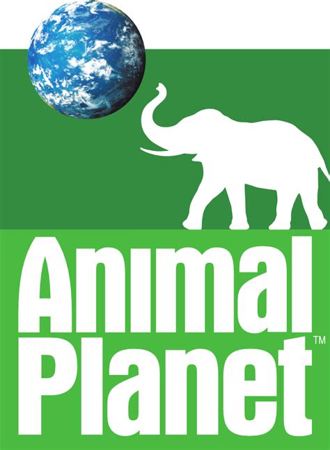 Animal Planet International Logopedia The Logo And Branding Site