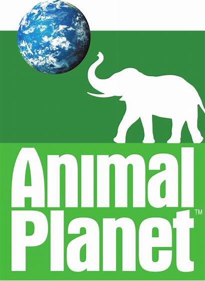 Animal Planet 2006 International Logos 2008 Troika